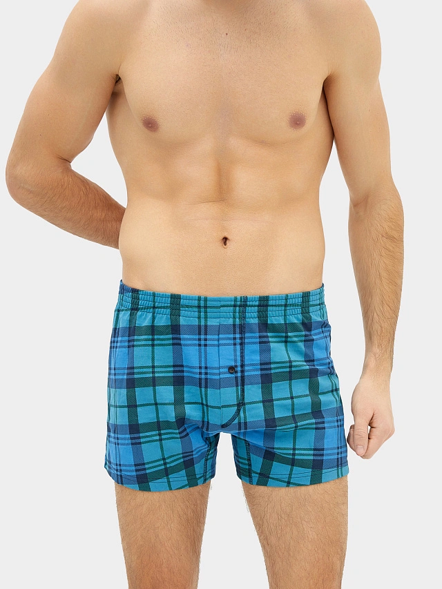 

Трусы мужские боксеры серые в сине-зеленую клетку, Сине-зеленая клетка, 24-3764П-0