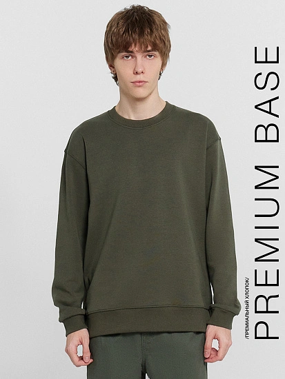 картинка Свитшот мужской хаки от магазина мужской одежды Mark Formelle