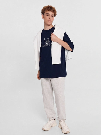 Брюки спортивные мужские серые