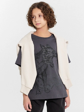 Футболка для мальчиков серая с принтом "заповедный напев..."