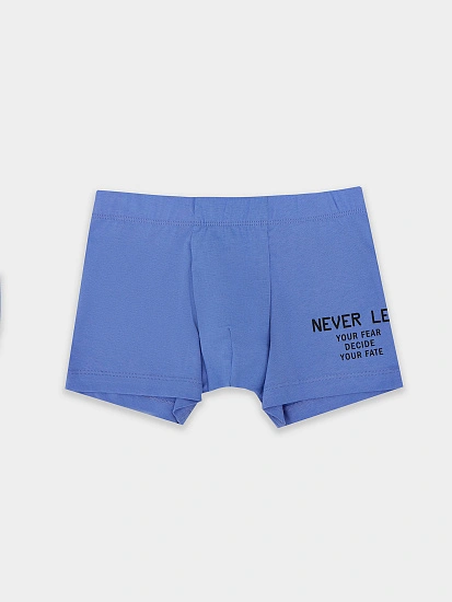 картинка ТРУСЫ ДЛЯ МАЛЬЧИКОВ от магазина одежды для мальчиков от бренда Mark Formelle