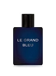 Dilis Туал. вода д/муж. Le Grand Bleu (Ле Гранд Блю) 100мл