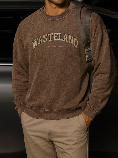 картинка Свитшот мужской коричневый с надписью "Wasteland" от магазина мужской одежды Mark Formelle