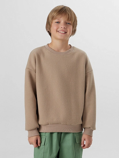 картинка Свитшот для мальчиков бежевый от магазина одежды для мальчиков от бренда Mark Formelle