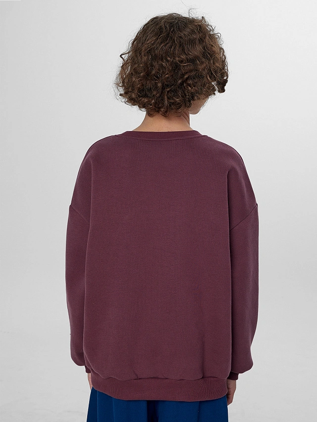 Теплый свитшот для мальчиков коричневый с начесом - 3