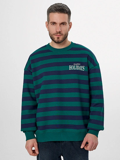 картинка Теплый свитшот мужской в полоску от магазина мужской одежды Mark Formelle