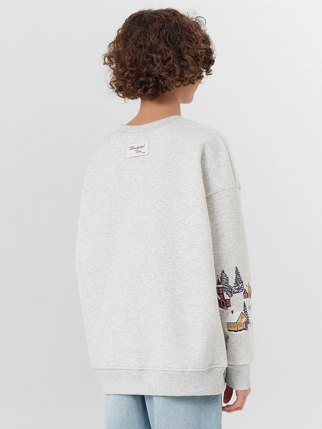 СВИТШОТ ДЛЯ МАЛЬЧИКОВ - 2