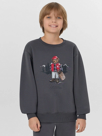 картинка СВИТШОТ ДЛЯ МАЛЬЧИКОВ от магазина одежды для мальчиков от бренда Mark Formelle