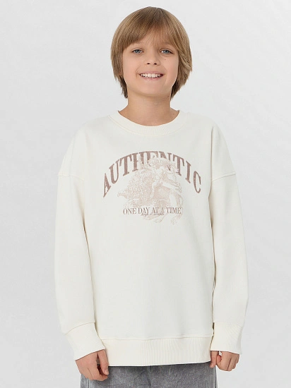 картинка СВИТШОТ ДЛЯ МАЛЬЧИКОВ от магазина одежды для мальчиков от бренда Mark Formelle