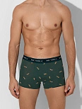Трусы боксеры мужские зеленые с принтом