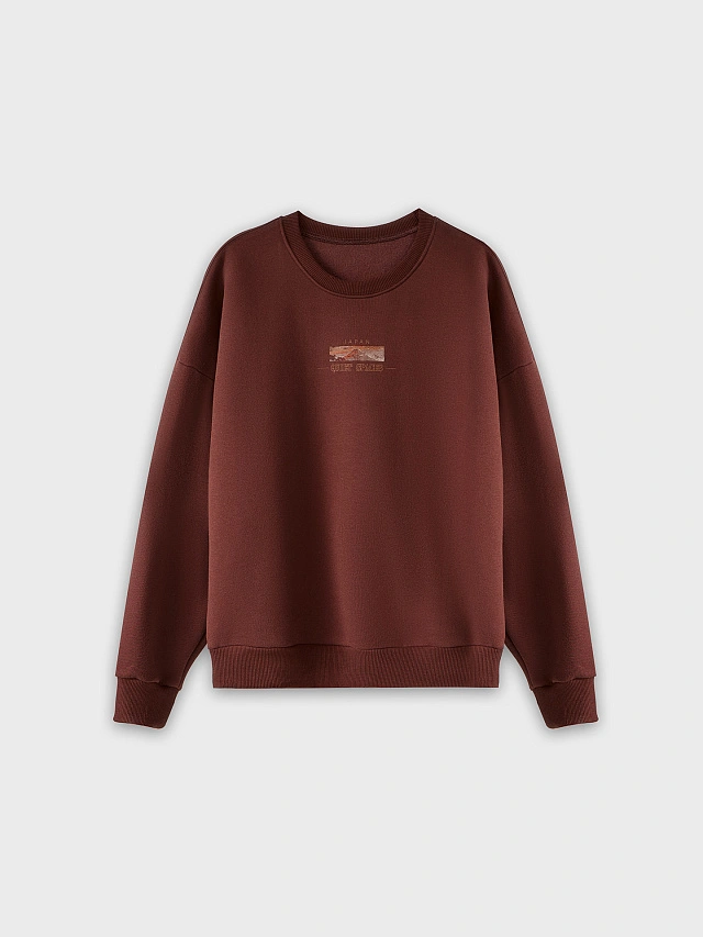 Теплый свитшот мужской коричневый с начесом и художественным принтом - 4