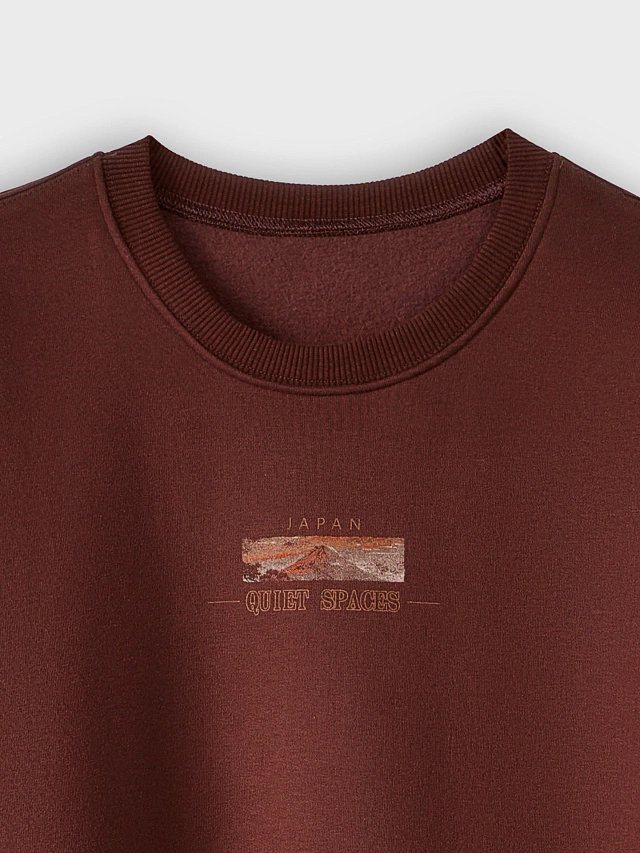 Теплый свитшот мужской коричневый с начесом и художественным принтом - 5