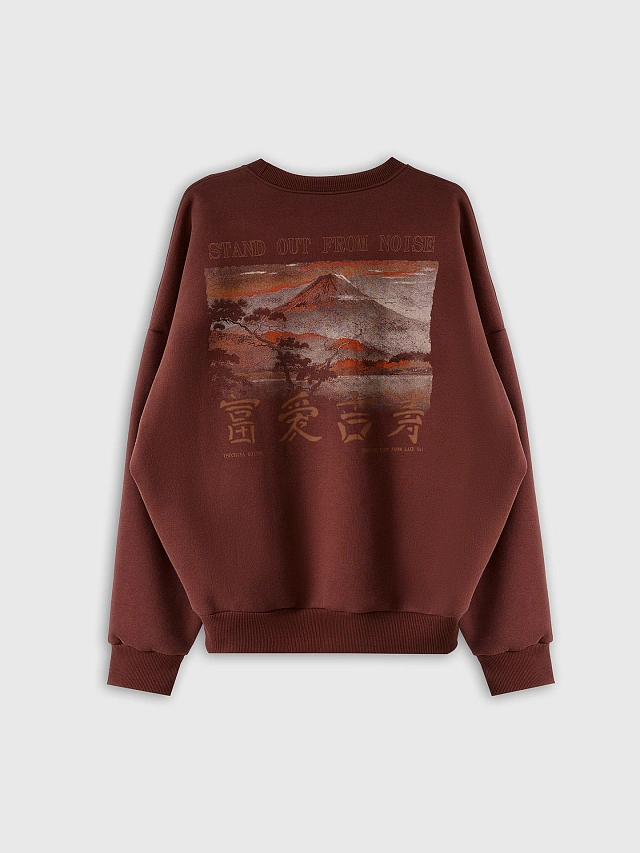 Теплый свитшот мужской коричневый с начесом и художественным принтом - 7