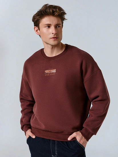 картинка Теплый свитшот мужской коричневый с начесом и художественным принтом от магазина мужской одежды Mark Formelle