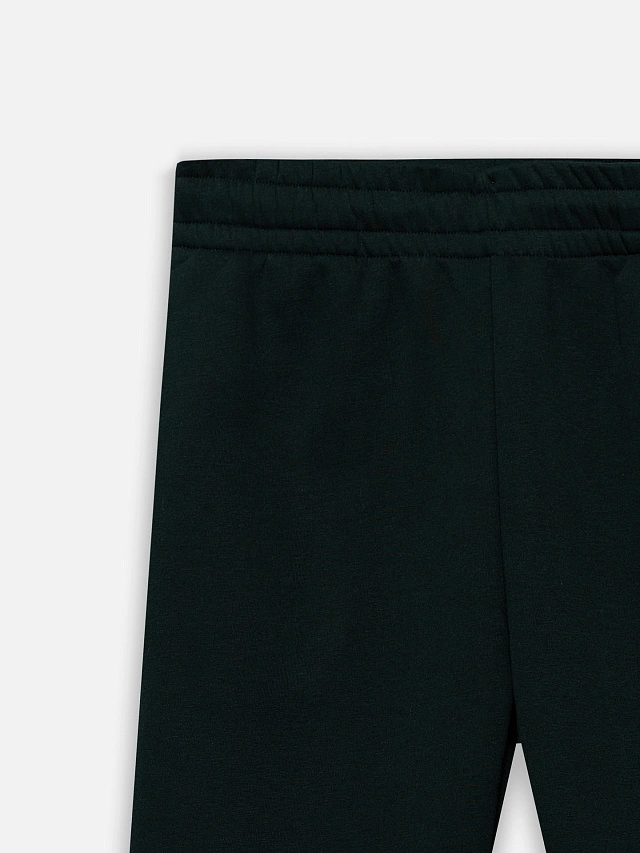 Теплые брюки джоггеры мужские зеленые с начесом - 5