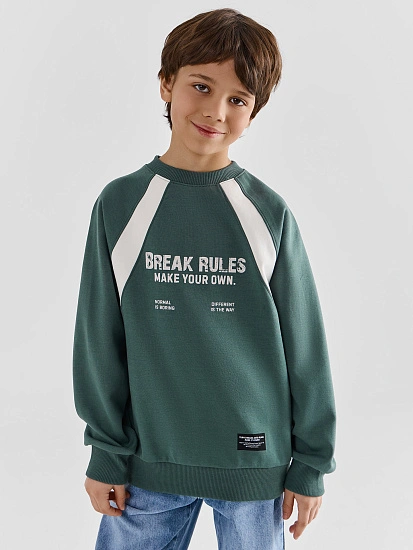 картинка СВИТШОТ ДЛЯ МАЛЬЧИКОВ от магазина одежды для мальчиков от бренда Mark Formelle