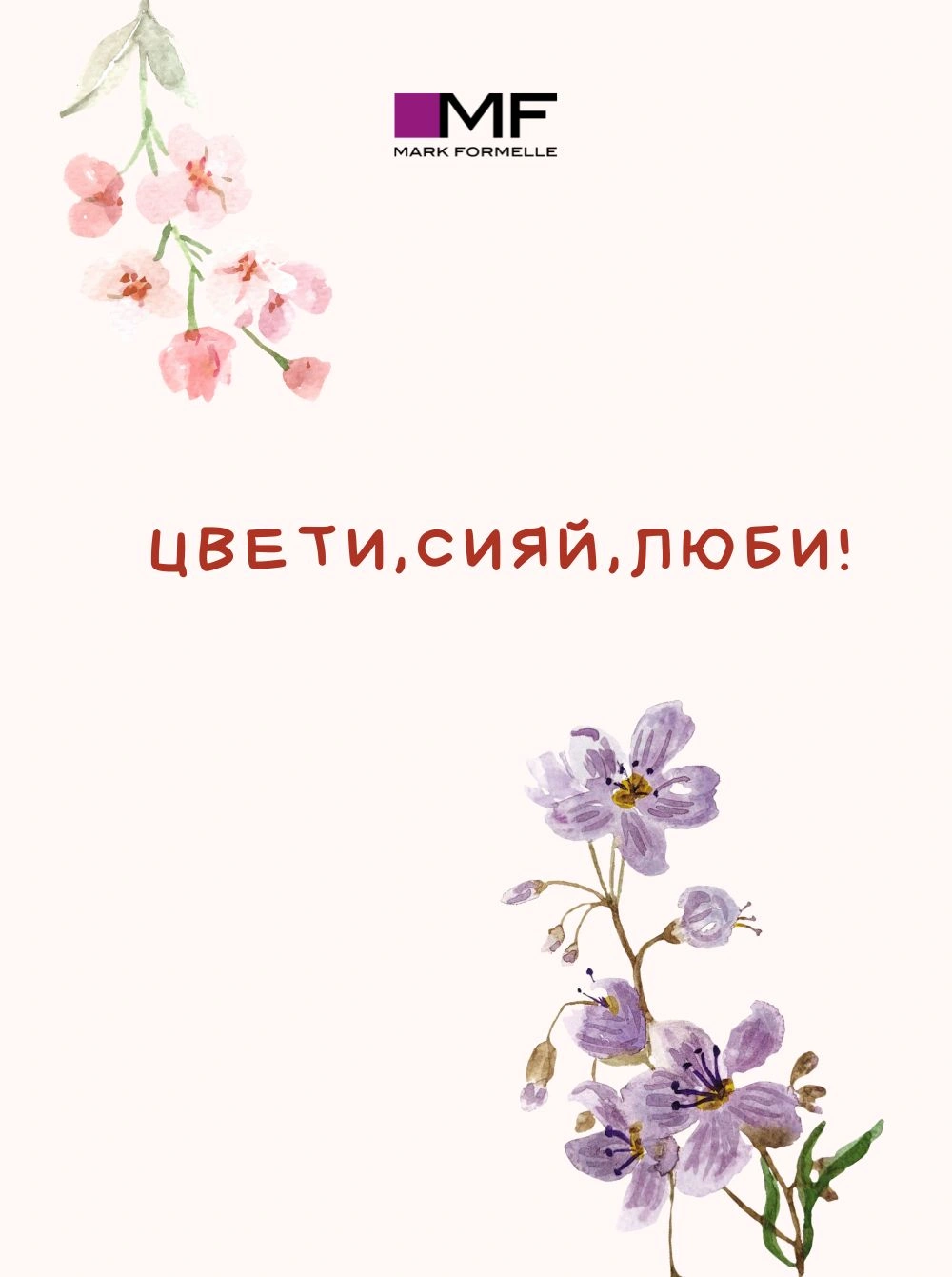 Bloom_and_shine